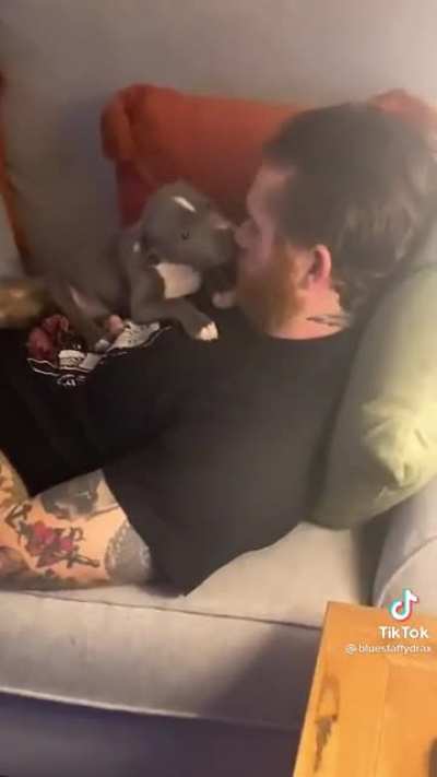 Puppy love