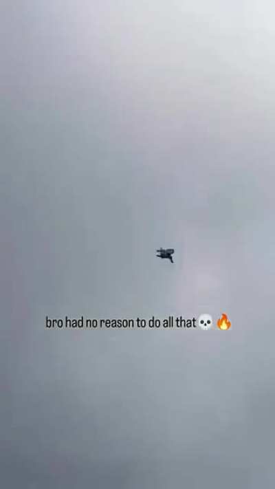 Bird.