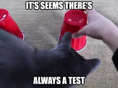 I think to myself
