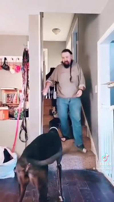 Pants = walk