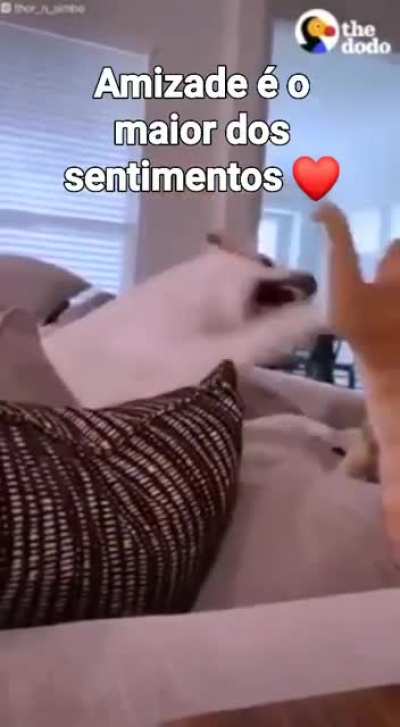 🥴🥰