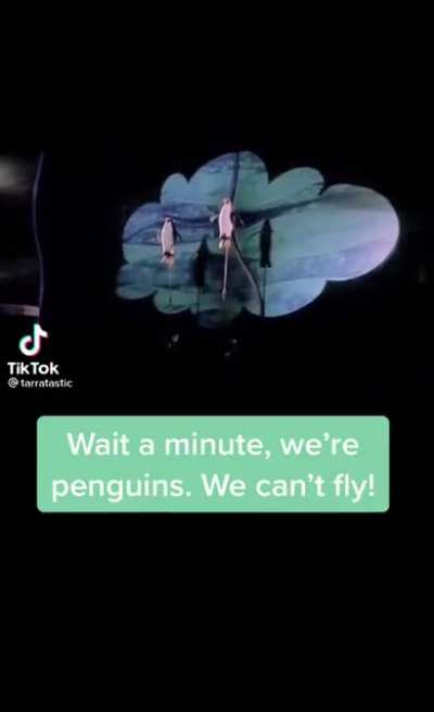 We can&rsquo;t fly