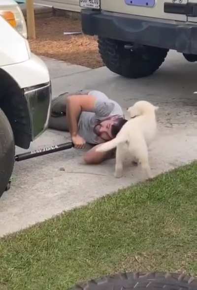 &ldquo;Playtime not work time hooman!&rdquo;