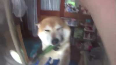 IRL Taroumaru