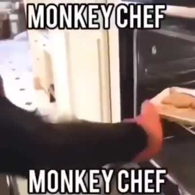 Monkey Chef