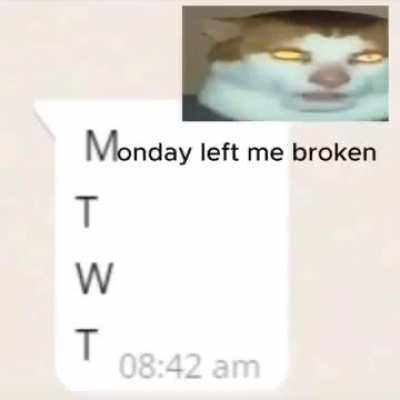 🐀🍵👩🚕