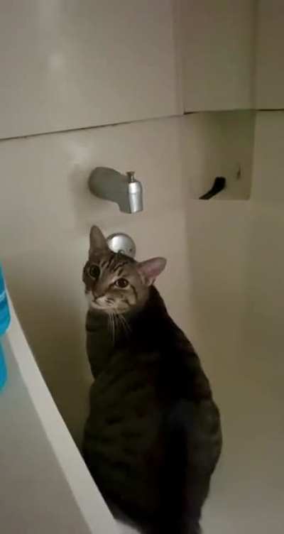 Tiggie&rsquo;s firmly reminding me to turn the faucet on for him.