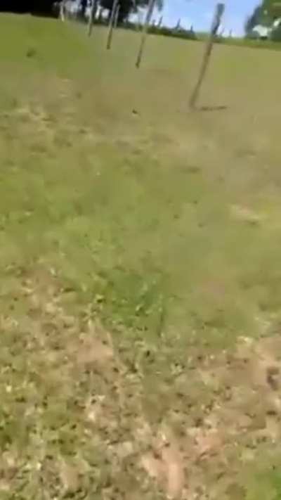 Levei foi uma pancada