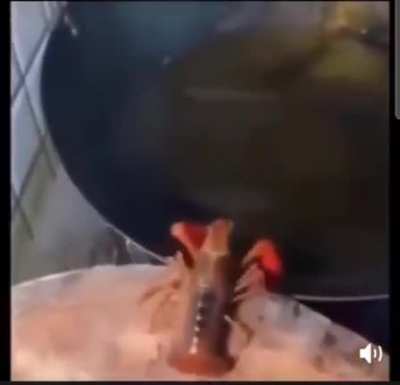 Nice pool, time to swim
