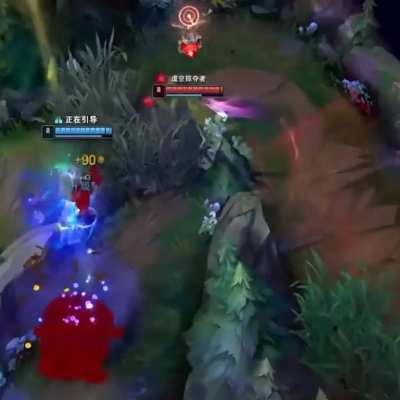 League of Animals
