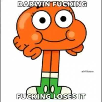 AAA DARWIN