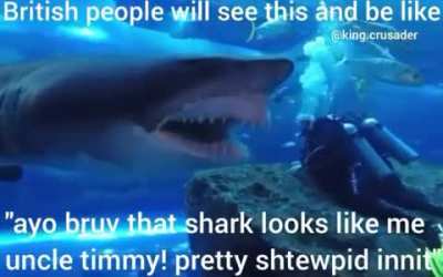 ¿?
