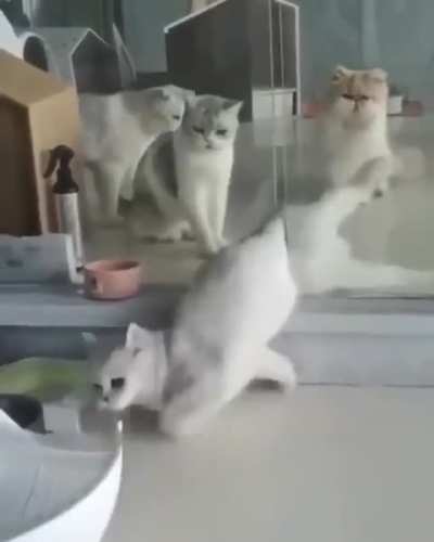 YOU ARE LIQUID!!!