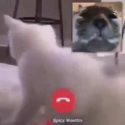 me irl