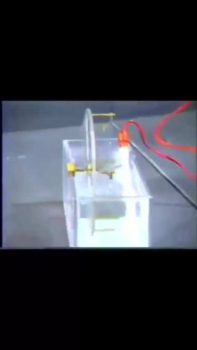 Nitinol Heat Engine