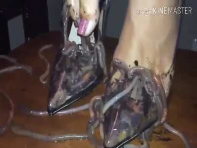 Worm Foot Spa