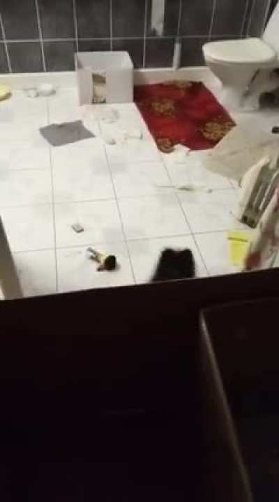 Do perfectly cut barks count?
