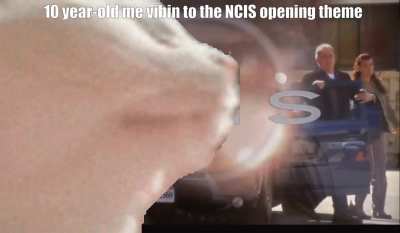 surprised there aren't more memes about the series