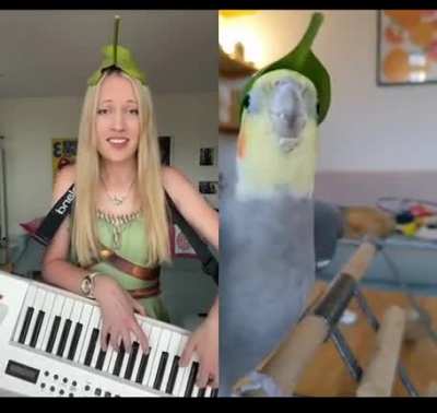 A musical duet with a birb