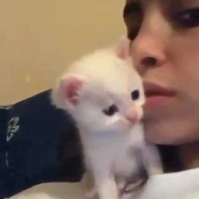 Smol Kiss