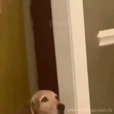 😞