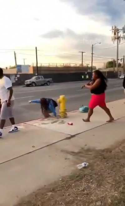 MONSTER SET OF BOOBS GO FLYING DURING WOMEN&rsquo;S STREET BRAWL