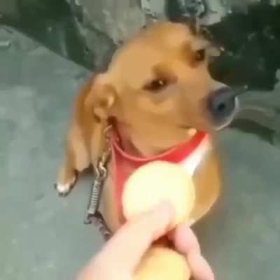 ENTENDA
