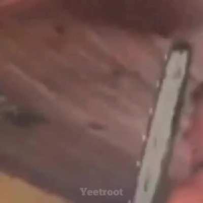 A short film of the human race