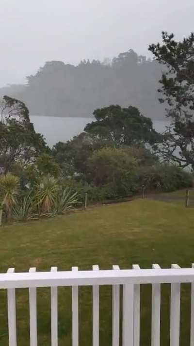 First rainy day at my new house. Feelsgoodman
