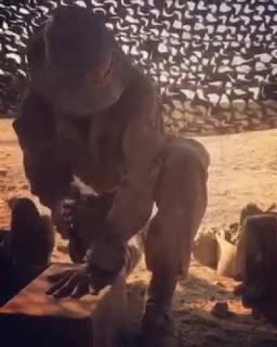 com ele cantando parece q &eacute; brincadeira de crian&ccedil;a