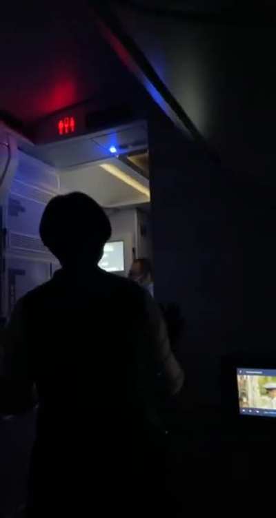 Man tries to open airplane door midflight