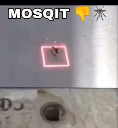 i hate mosquitos!!!!