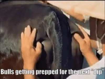 Next Stop Moon