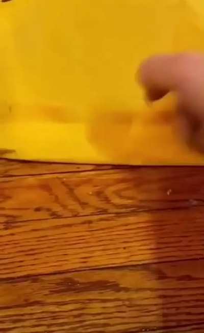 Life Hack ft. Mail