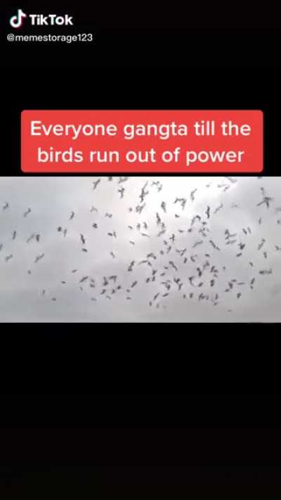 They forgot to charge the spy&rsquo;s