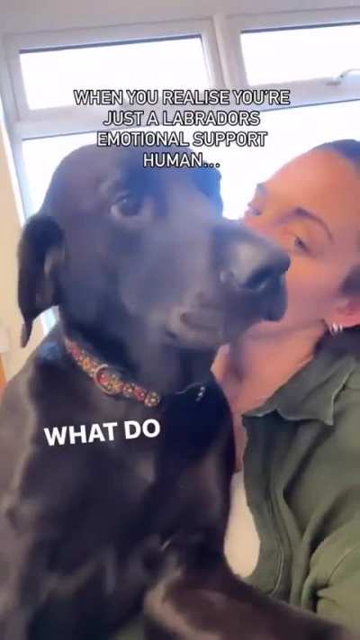 When you&rsquo;re in need of some love from your emotional support human.