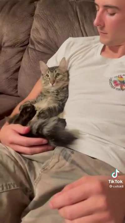 On this episode of &ldquo;I don&rsquo;t want a cat&rdquo;
