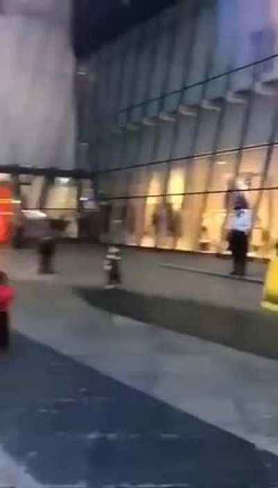 维奸了属于是