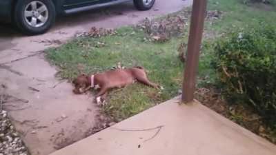 Give This Man A Medal!
