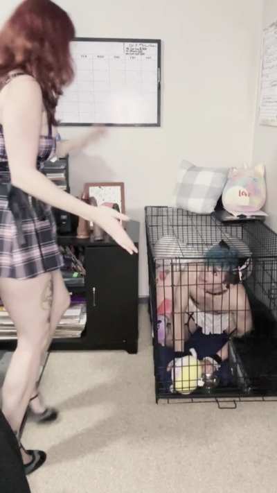 My adorable pussy-free virgin cucky get a "treat" after waiting patiently and pathetically in his dog cage while in chastity for me to return from my date with my bull. 🤭😜 [domme] [oc]