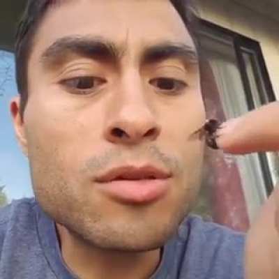 Saving a bee