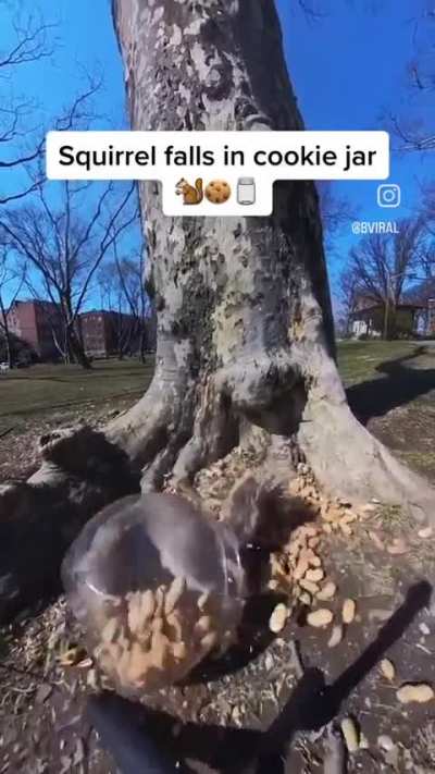 Found on Instagram 