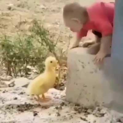 ---|} 🖕