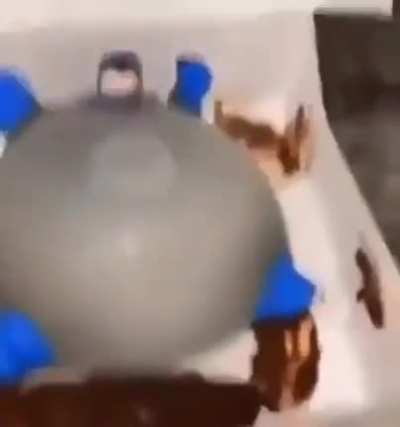 donut 🤠