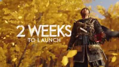 Just 2 weeks to go!