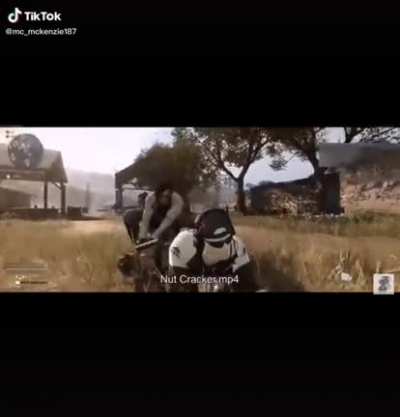 nut cracker