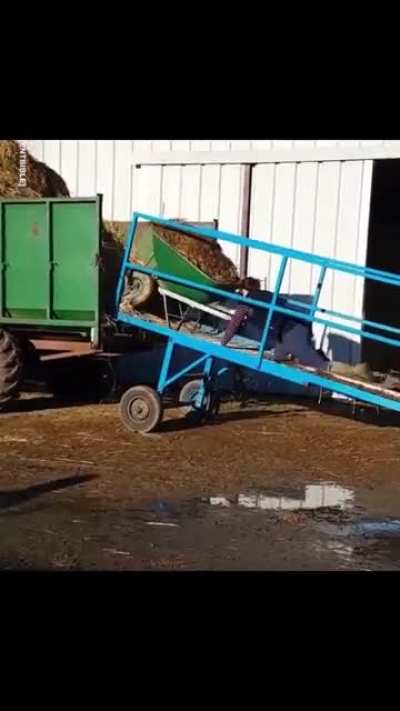 She almost made it!