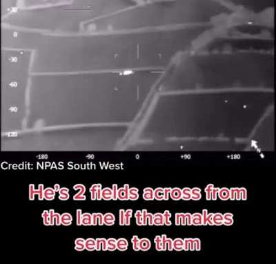 Nosey Cows in Devon, UK help police catch man on the run