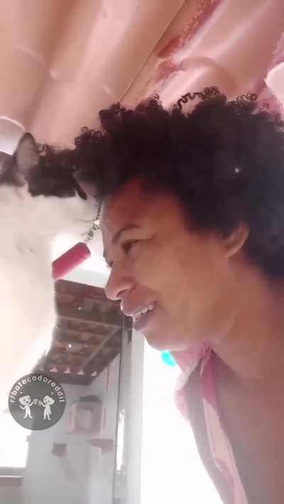 🐱🐱🐱 (acessem o r/bichinhos)