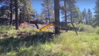 zip line
